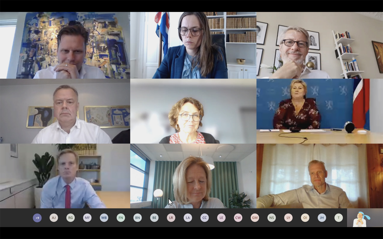 Screenshot of Nordics CEOs online meeting