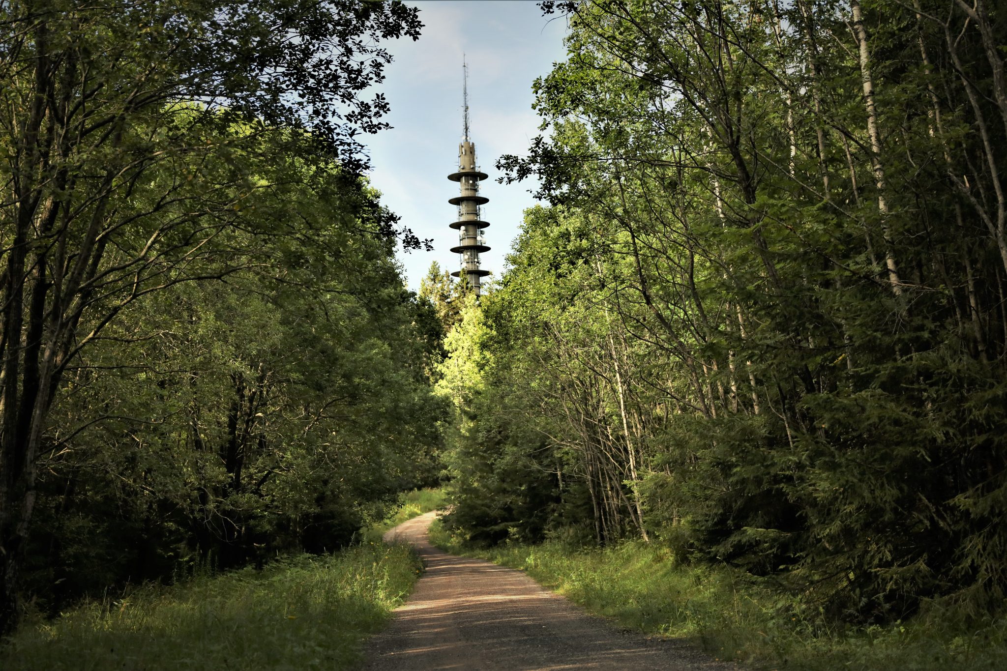 Base station surrounded by green trees in Oslo, Norway