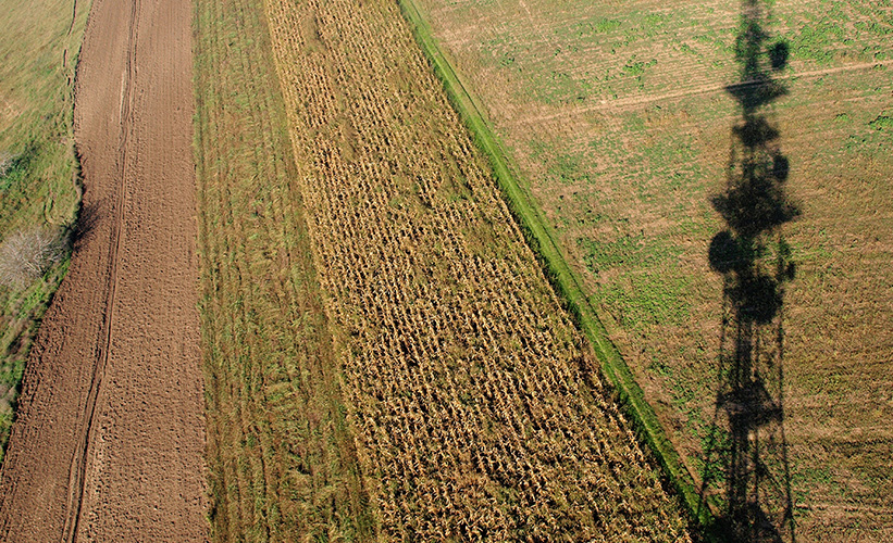 Base station reflected in a field