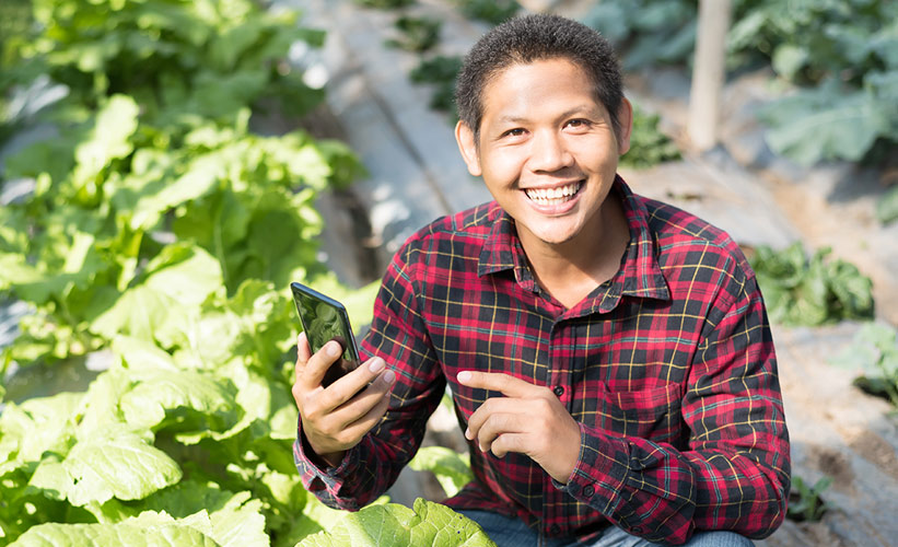 Asian farmer using smartphone in vegetable garden